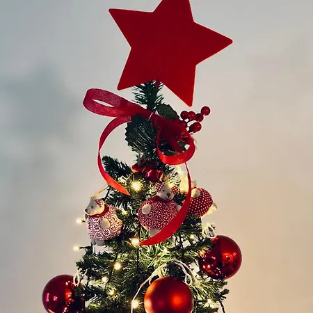 Gingerbread Originale A Tema Natale In Centro Storico Apartman